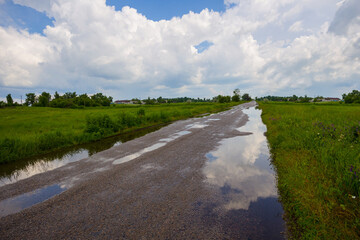 wet asphalt road after a rain unde a dense cloudy sky
