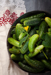 Fresh cucumbers in vintage metal bowl on folksy towel