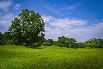 Obraz premium Tranquil Vibrant Green Meadow and Forest under Dramatic Clouds in the Blue Sky. The landscape of Beautiful Minuteman National Park in Summer. Natural Pasture with Space for Text and Design.