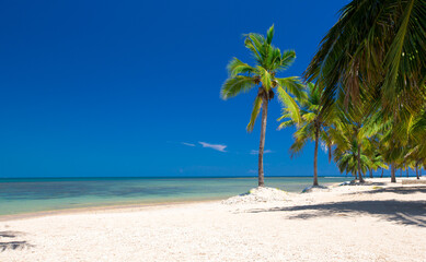 beautiful beach and tropical sea
