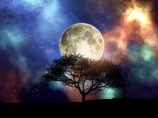 Naklejka na ściany i meble 3D silhouette of a tree against a space sky with moon