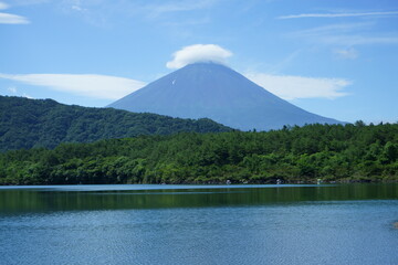 I love the smell of lavender 