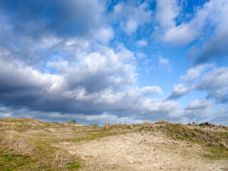 Schoorlse duinen, Noord-Holland Province, The Netherlands