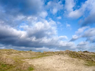 Foto auf Acrylglas Schoorlse duinen, Noord-Holland Province, The Netherlands © Holland-PhotostockNL