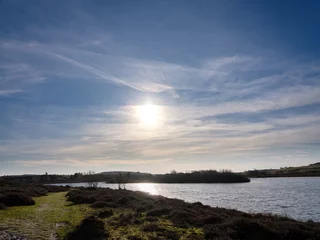 Foto op Aluminium Schoorlse duinen, Noord-Holland Province, The Netherlands © Holland-PhotostockNL