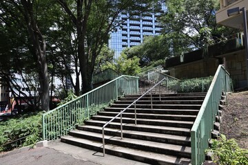 街路樹と階段