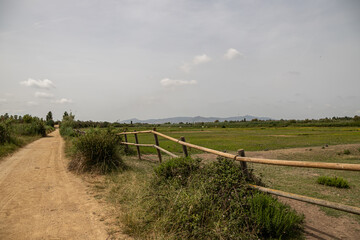 A path and a view in Delta del Llobreat, El Prat, Catalonia, Spain