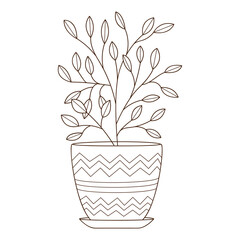 A houseplant in a pot with a pattern. Decorative design element with an outline. Doodle, hand-drawn. Black white vector illustration. Isolated on a white background