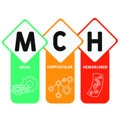 MCH - Mean Corpuscular Hemoglobin acronym, medical concept background. vector illustration concept with keywords and icons. lettering illustration with icons for web banner, flyer, landing page