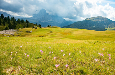 Fototapeta na wymiar Summer landscape of mount Langkofel, South Tirol, Dolomites mountains, Italy