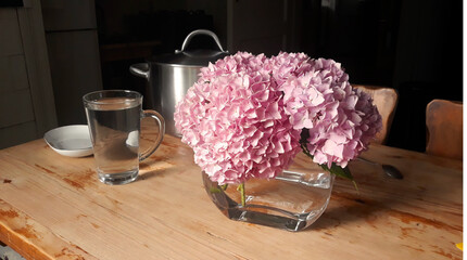 still life with glass silver pot and pink hydrangea