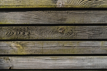 wood board texture in sunlight