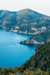 Fototapeta na wymiar Vertical view of a wild coastline landscape with a blue sea and green vegetation