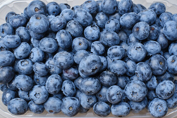 Fresh blueberries background. Macro texture of blueberry berries. Summer healthy food.Selective focus