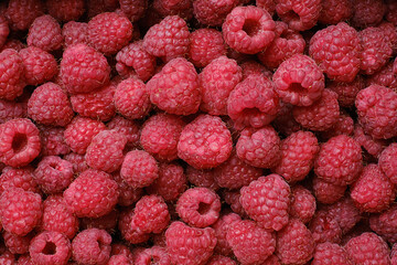 Ripe raspberry background, close up. Selective focus