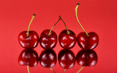 Fresh red cherries in a row on a red background stock images. Sweet cherry fruit berries photo images. Ripe cherries reflection images