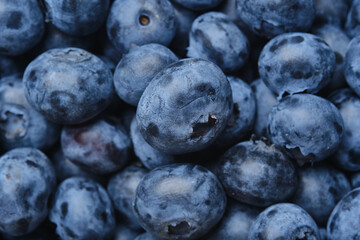 Fresh blueberries background. Macro texture of blueberry berries. Summer healthy food.Selective focus