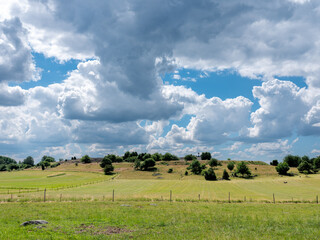 Cultural grass landscape with burial mounds from the viking age and fields and fences. Dramatic clouds in the sky. Stones and trees scattered in the scene. Shot in Birka, Sweden, Scandinavia