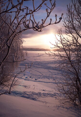 Winter sunset over the river through the branches