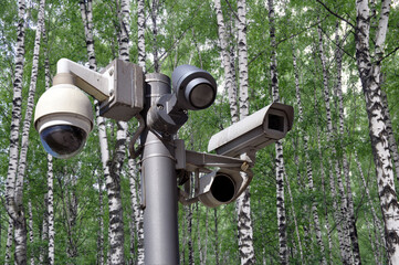 Many CCTV cameras on the background of a birch grove. Big brother concept. Face recognition.