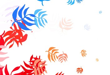 Light Blue, Red vector natural pattern with leaves.
