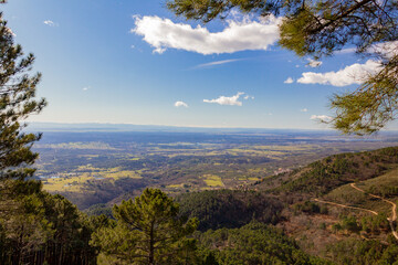 Valley between mountains. Plain field. Landscape of pines on a sunny day.