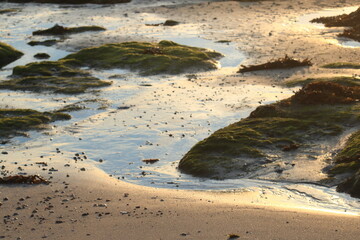 Le sable d'or