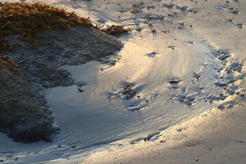 Plage au soleil couchant