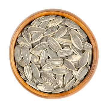 Large sunflower seeds in shells roasted and salted, in a wooden bowl. Whole striped common sunflower seeds, fruits of Helianthus Annuus. Medium tan, ready to eat snack. Close-up from above food photo.