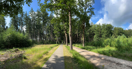Fototapeta na wymiar Panorama from forest around Boschoord in Drenthe