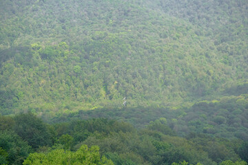 Obraz premium View of mountains and forest from above, mountain Akhun hills and forest in the morning fog