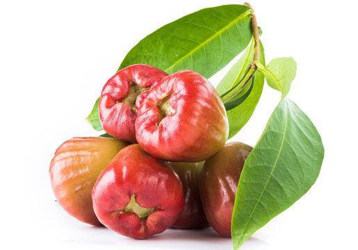 Taiwanese wax apples with leaves isolated on white background