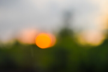 blurred view of sunset in the field