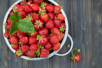 strawberry harvest