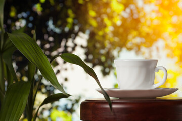 White cup of coffee or tea on a wooden table over blurred tree with sun lighting