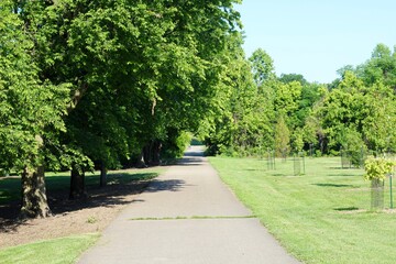 The long empty walkway in the park on a sunny day.