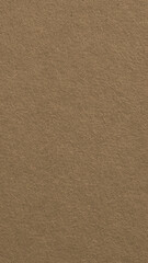 The surface of brown cardboard. Paper texture with cellulose fibers. Vertical background with a pastel tint. Paperboard mobile phone wallpaper. Textured clean and the home backdrop. Top-down. Macro