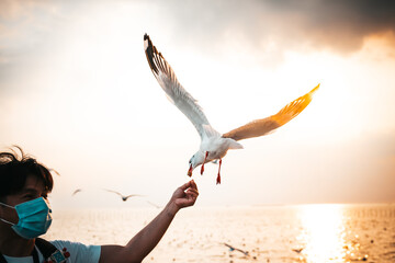 White seagull With red mouths and feet, eating food in people's hands, with sky and sea in the...