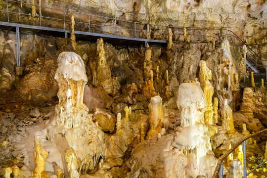 Bear's Cave, Ursus spelaeus, Pestera Ursilor, Chiscau village, Bihor County, Apuseni Mountains, Romania