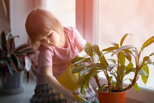 A little girl waters indoor flowers from a watering can. Selective focus.
