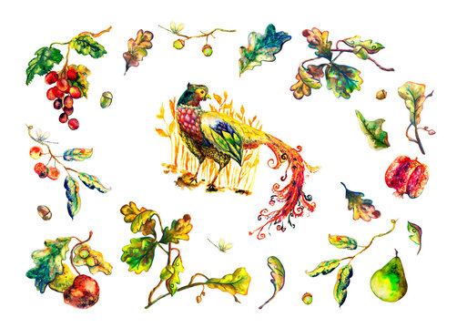 Autumn floral set. Watercolor isolated colorful elements in decorative style: pheasant, grapes, oak leaves, acorns, pomegranate, pear, berries, mushroom, and moth for a varied and interesting design.