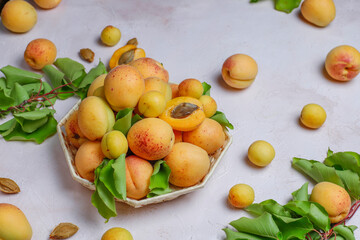 Organic sweet juicy apricot fruits.