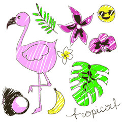 Flamingo, banana, monstera leaf, palm trees, orchid. Vector illustration. Tropical theme.