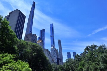 Fototapeta premium Towers Over Trees