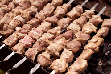 Raw meat. Raw kebab laid on hot grill coals
