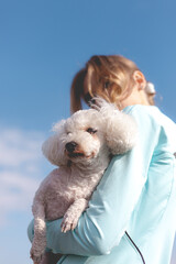 A very little dog wearing a costume