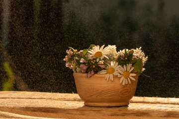 a bouquet of wild flowers in the rays of the sun. the bouquet stands on a wooden table. drops of dew on a flower