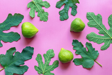 Ripe fig fruit and green leaves of a fig tree on pink paper.  Flat lay. Copy space