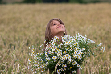 Little girl on a wheat field with chamomile flowers.