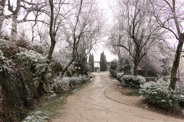 Winter landscape. Dirt road among snowy vegetation that ends in high cypresses and houses. Snow. Selective focus.